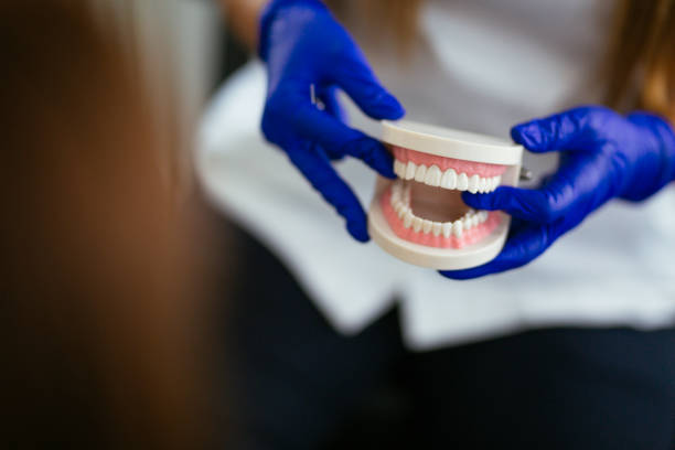 South Greeley, WY  Holistic Dental Services Company